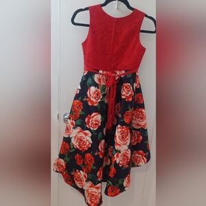 Rare Editions Kids Size 10  Scarlet Lace Dress